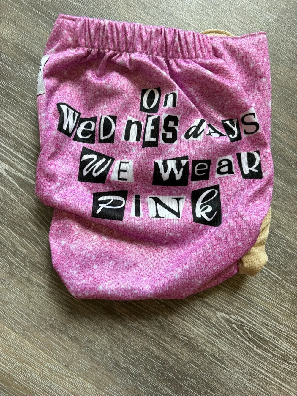 Vida Mia Cloth Diaper (Mean Girls)